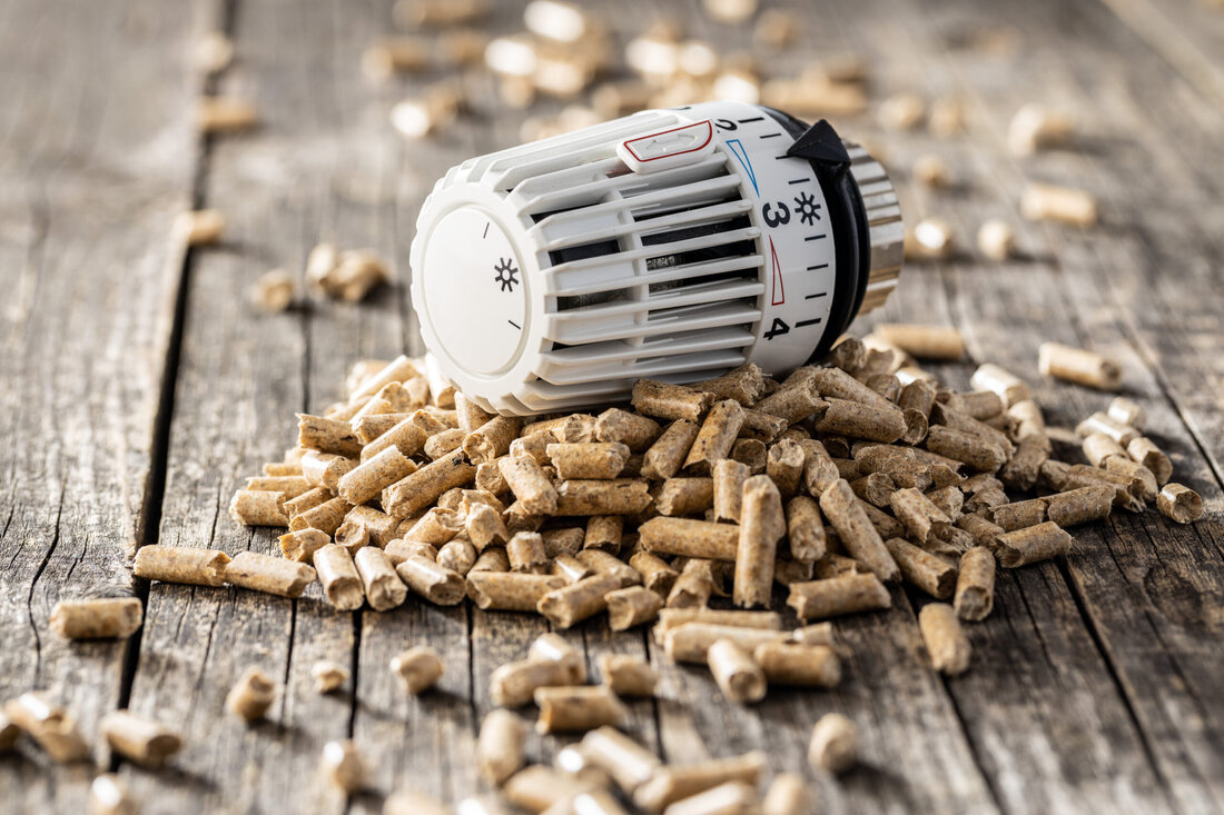 Neue Prognos-Studie bestätigt positive Effekte von Bioenergieförderungen in Österreich. Der Österreichische Biomasse-Verband fordert "klare und verlässliche Rahmenbedingungen".